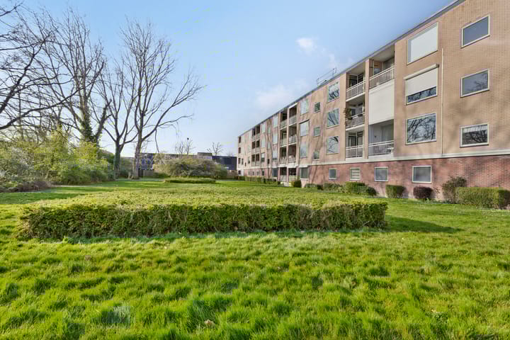 Foto 27 van Jacob Pieterse Boreelstraat 32