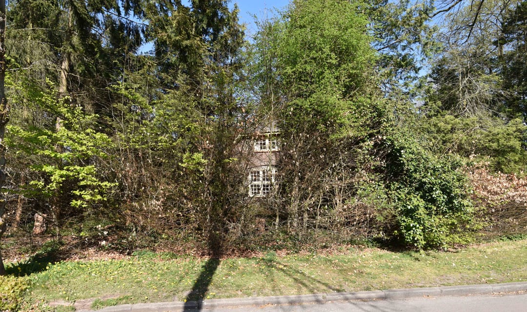 Foto 28 van Lohuizerweg 31