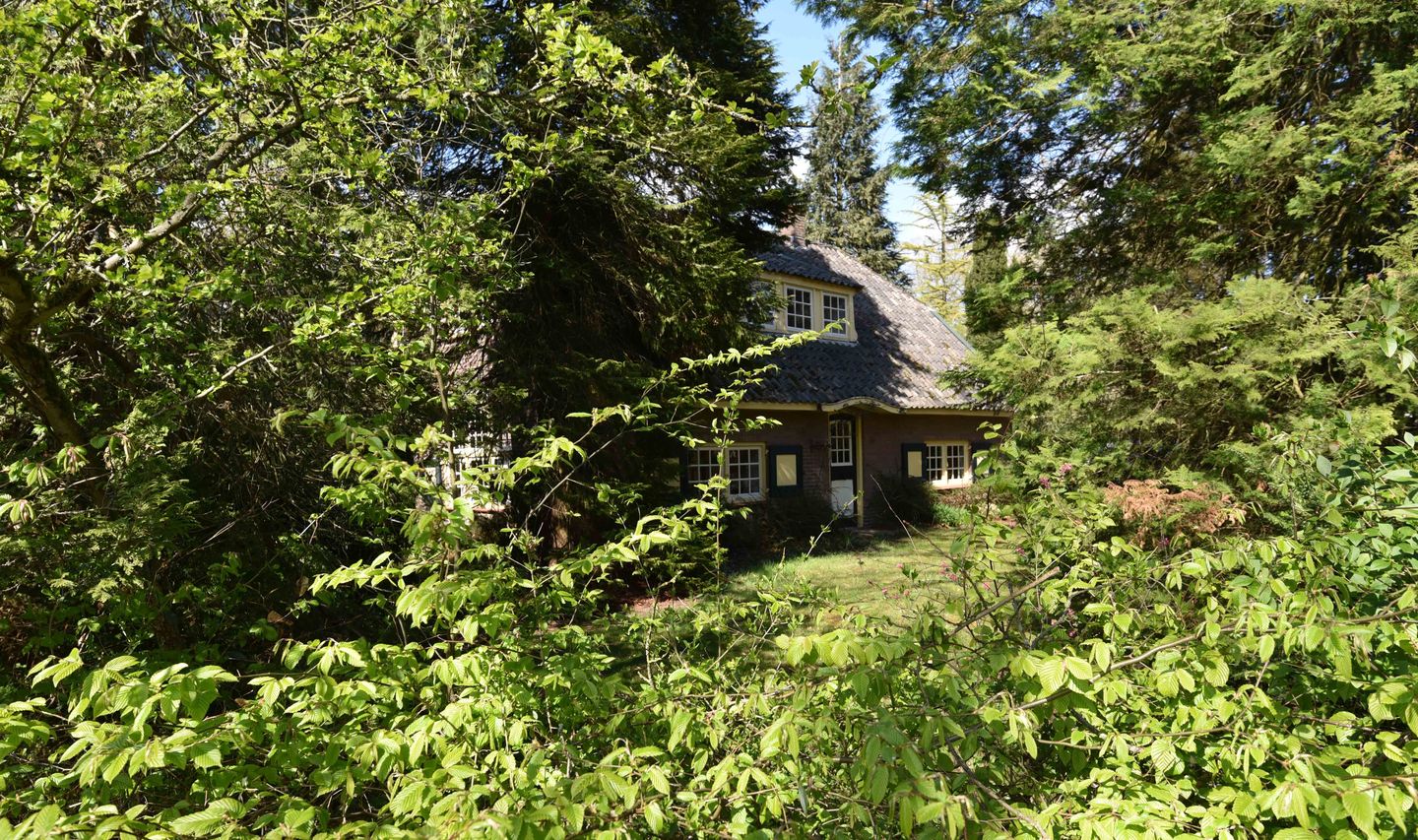 Foto 29 van Lohuizerweg 31