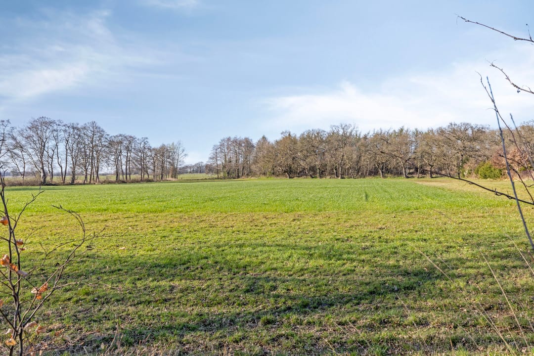 Foto 31 van Azaleaweg 12