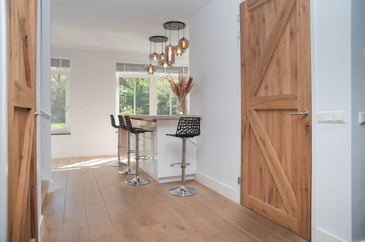 Foto 2 van Pegasus 1