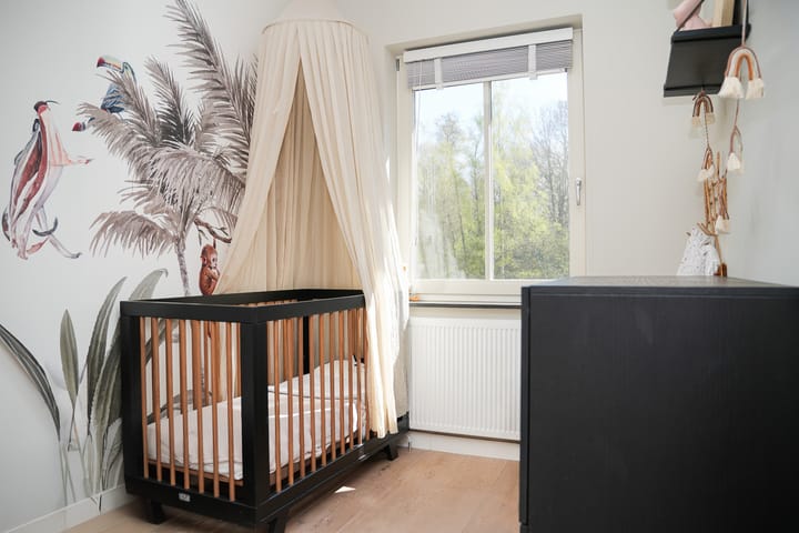 Foto 19 van Pegasus 1