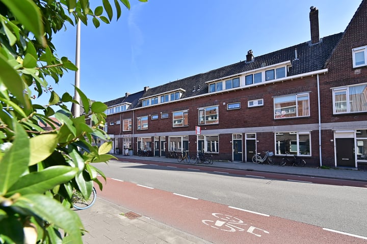 Albatrosstraat 8