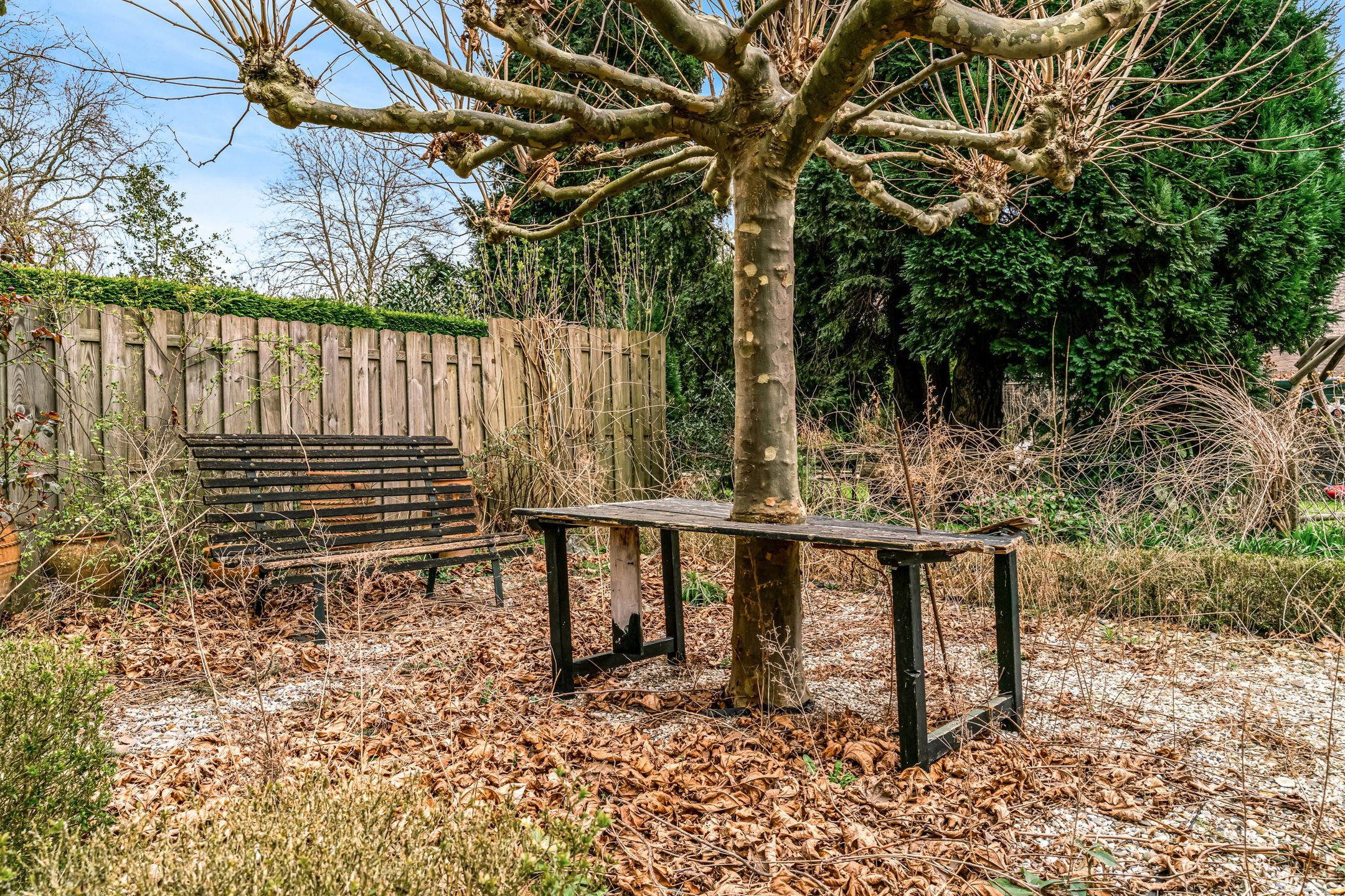 Foto 36 van Houtmanstraat 6