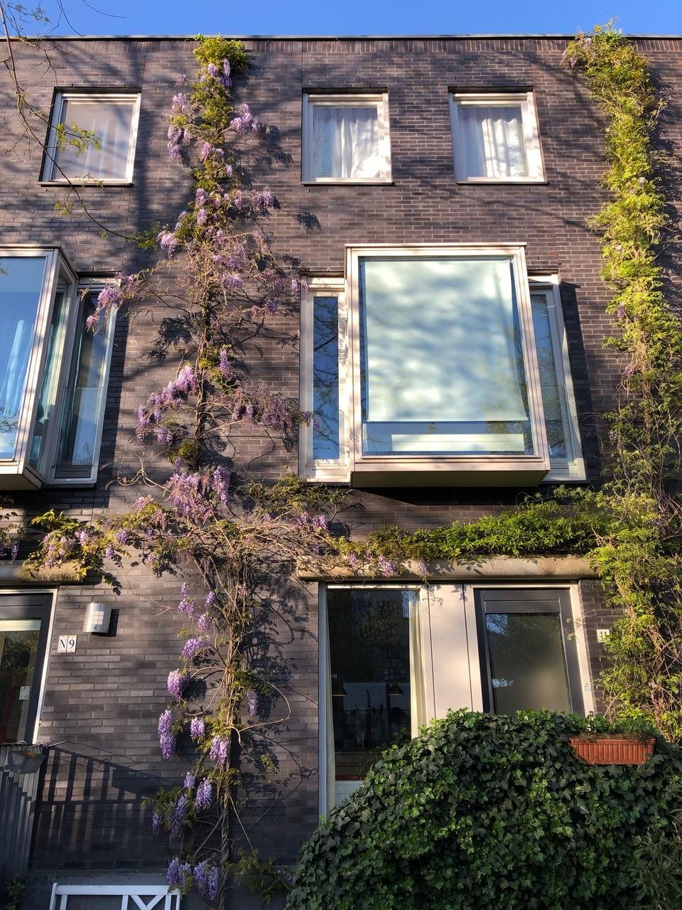 Foto 30 van Joris Ivensplein 11