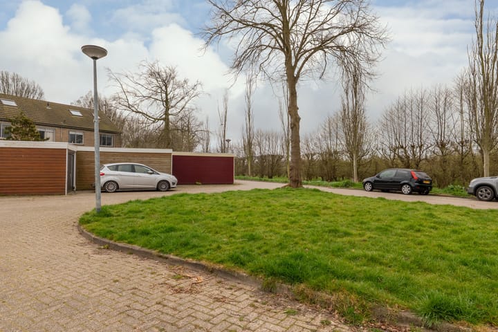 Foto 2 van Pieter Wariuslaan 19