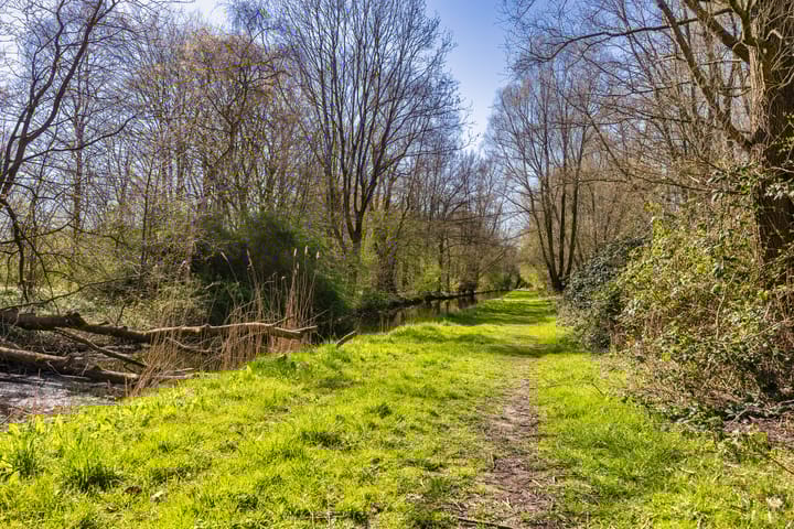 Foto 42 van Carlierstraat 4