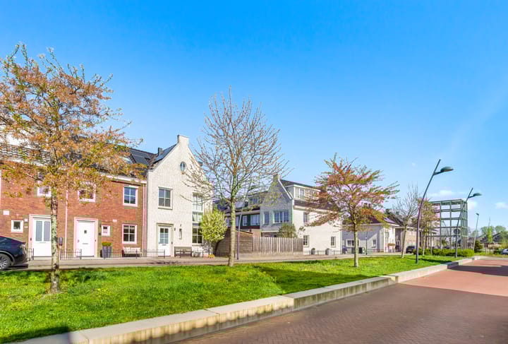 Foto 8 van Rijnland 3