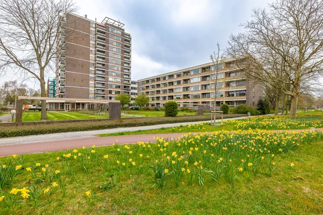 Foto 2 van Nesciolaan 81