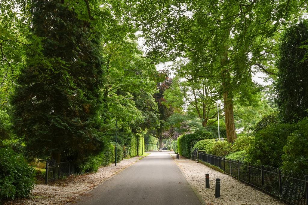 Foto 14 van Hertog Hendriklaan 14