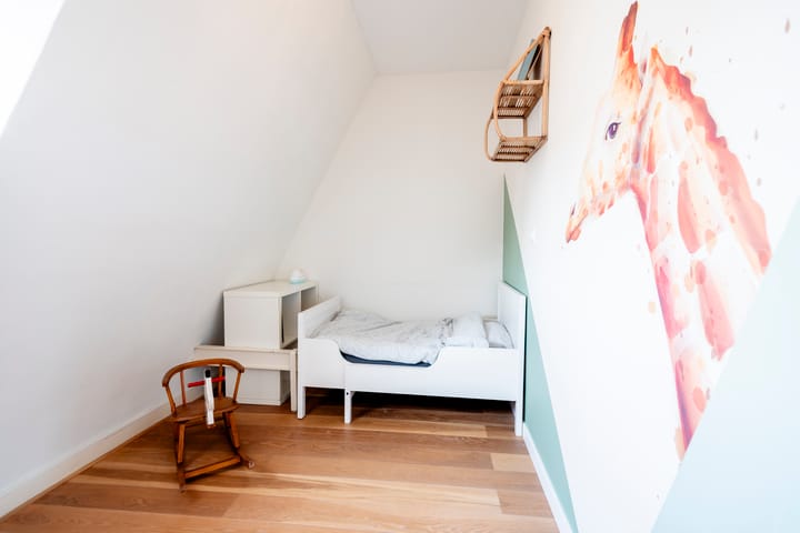 Foto 38 van Dintelstraat 33-2