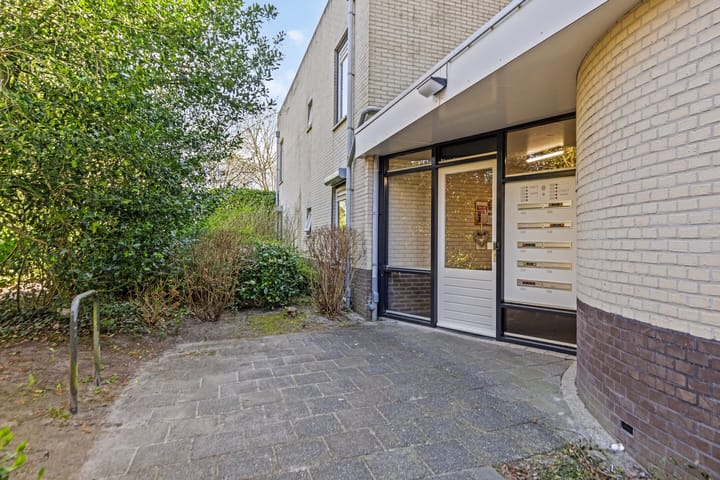 Foto 3 van de Swing 7