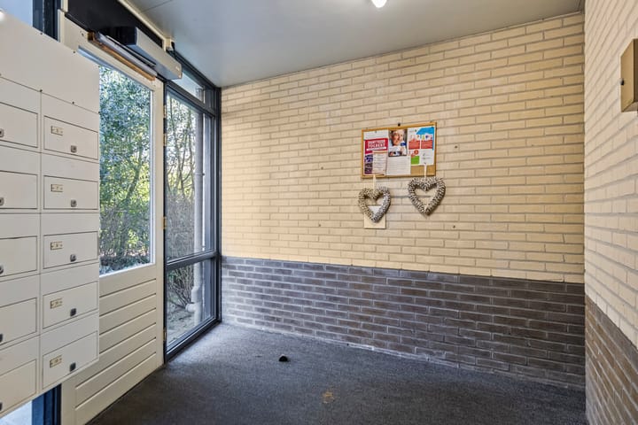 Foto 4 van de Swing 7