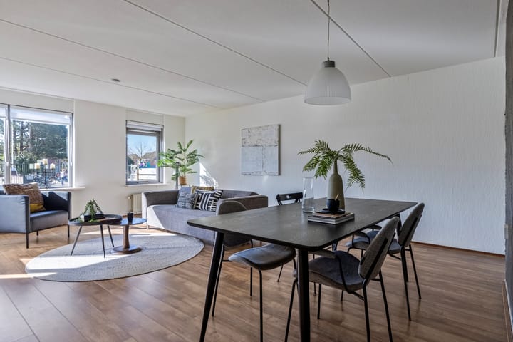 Foto 16 van de Swing 7