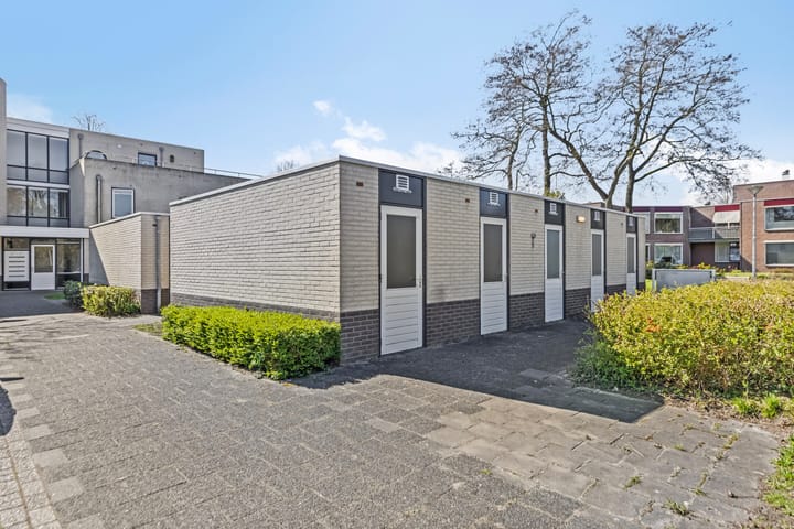 Foto 30 van de Swing 7