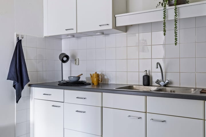 Foto 19 van de Swing 7