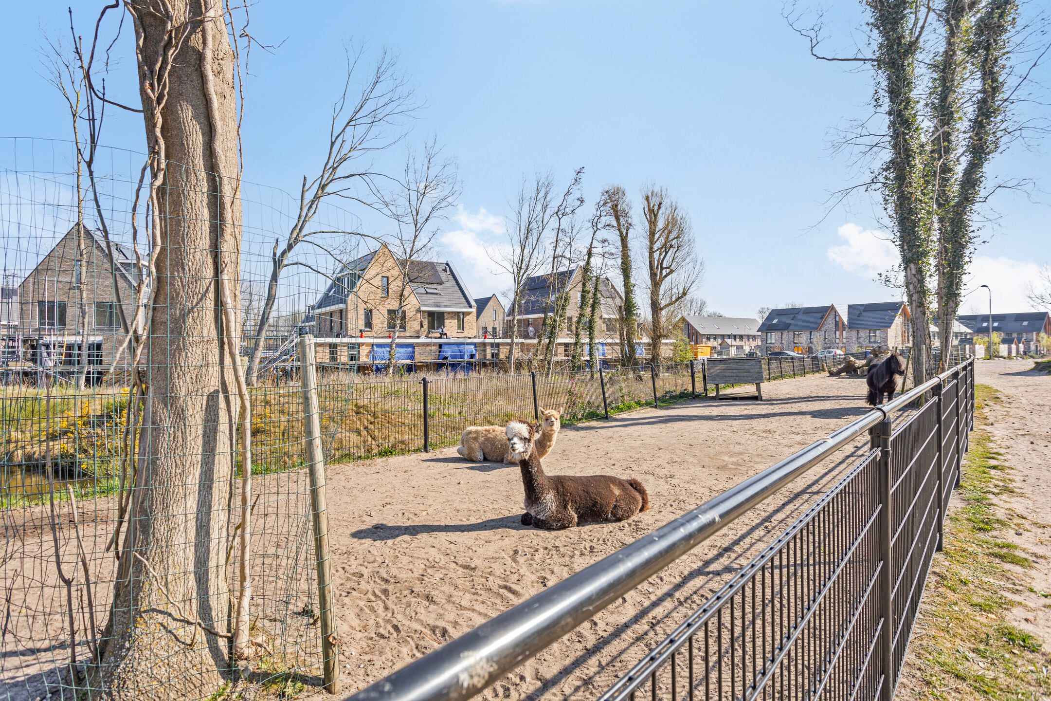 Foto 3 van Sint Pieterstraat 10