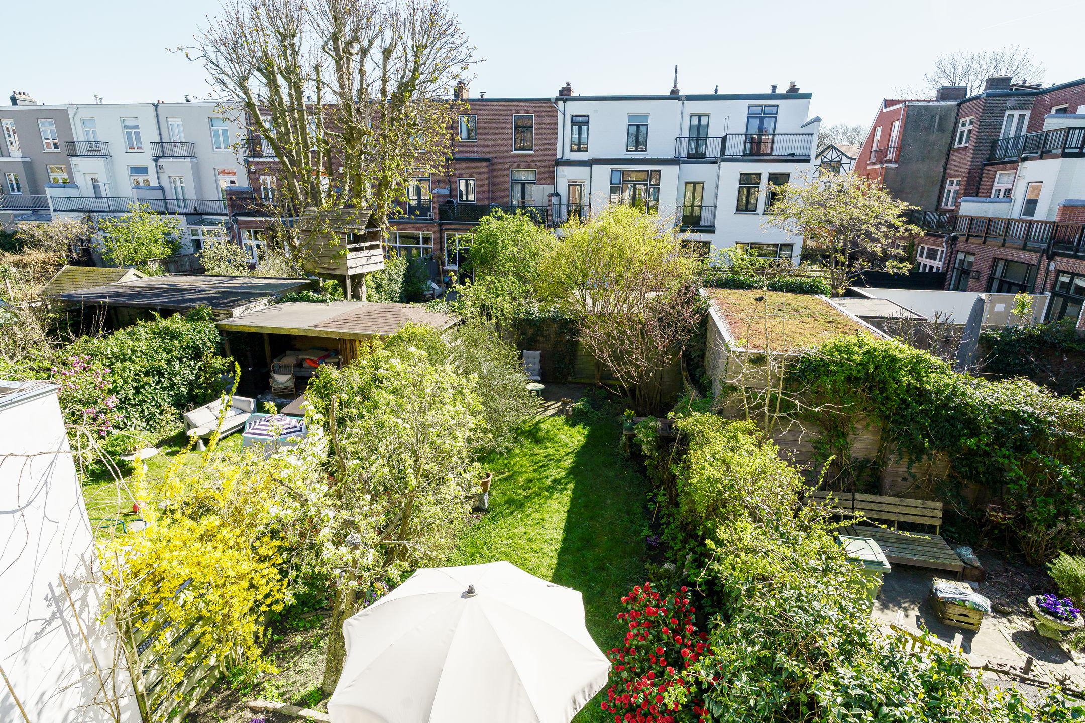 Foto 36 van Berkenrodestraat 31