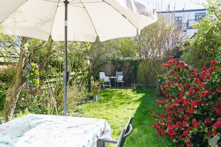 Foto 23 van Berkenrodestraat 31