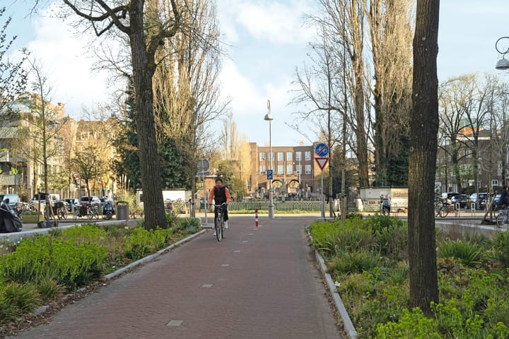 Photo 38 of Koninginneweg 143-3