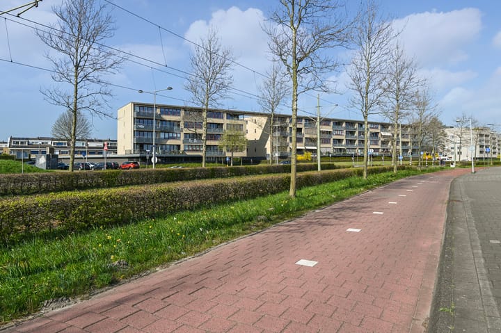 Foto 22 van Klaproosveld 21