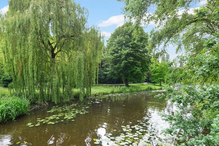 Foto 32 van President Kennedylaan 270-3