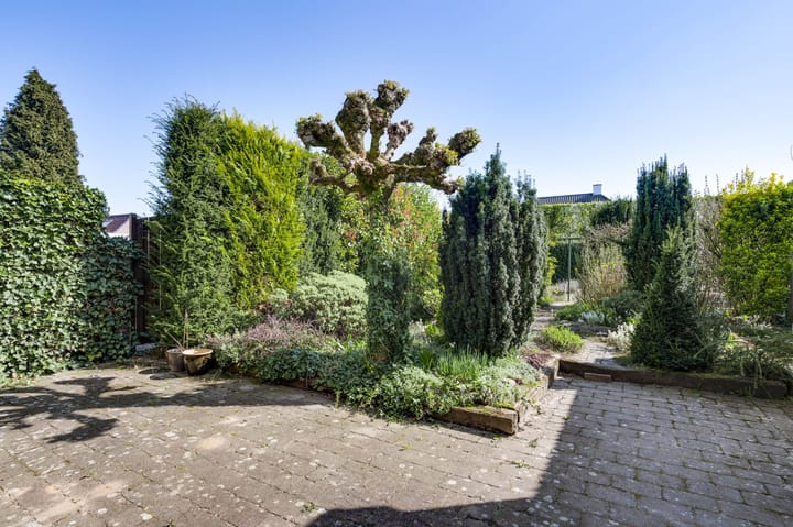 Foto 19 van Burgemeester Mertensstraat 61