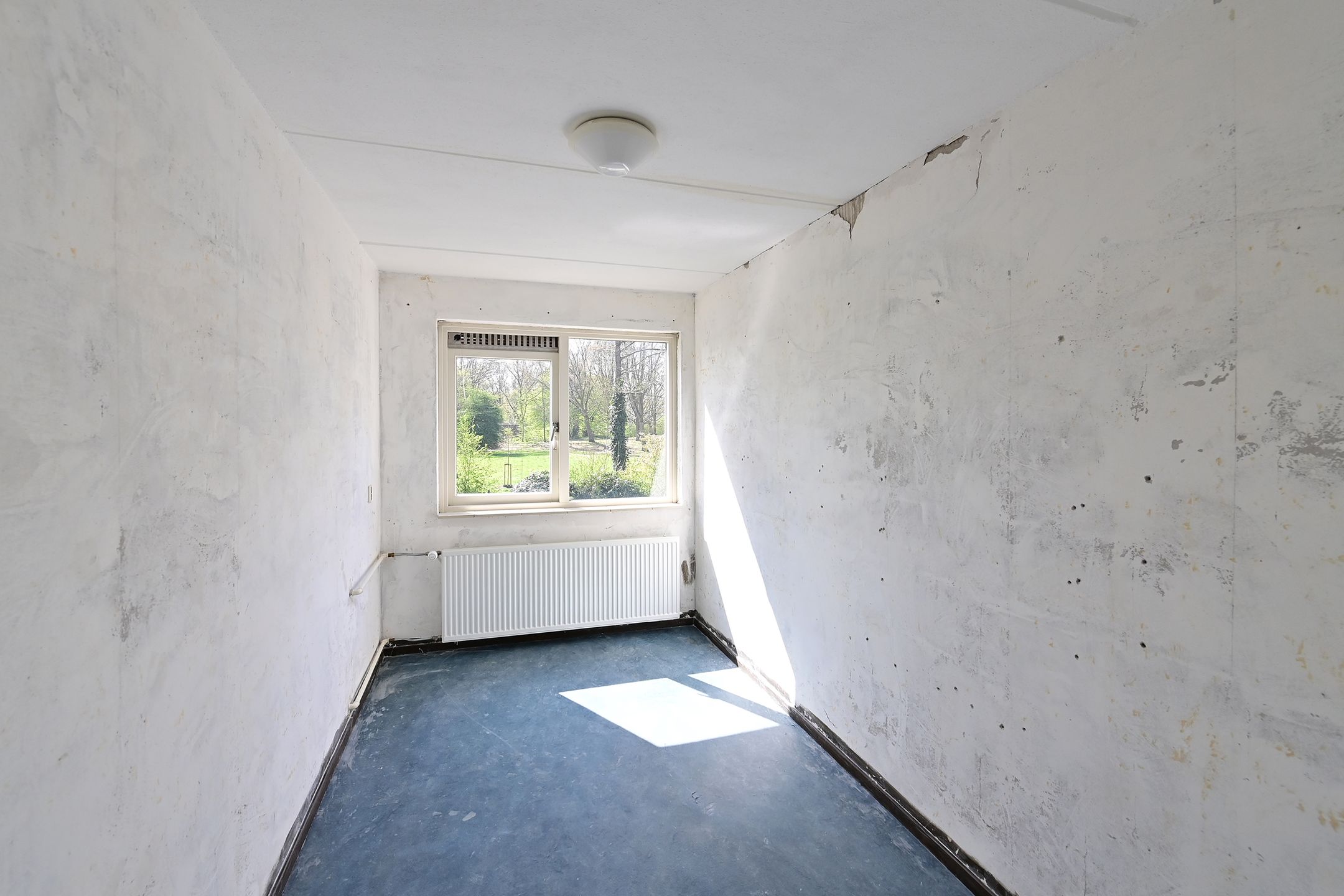 Photo 9 of Rietmeent 84