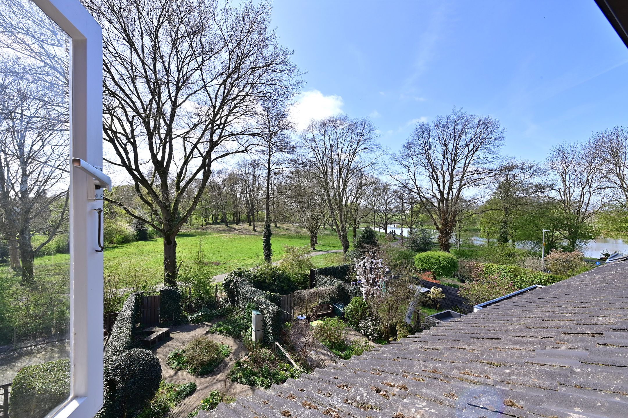 Photo 15 of Rietmeent 84