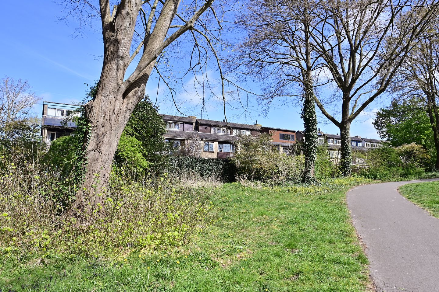 Photo 19 of Rietmeent 84