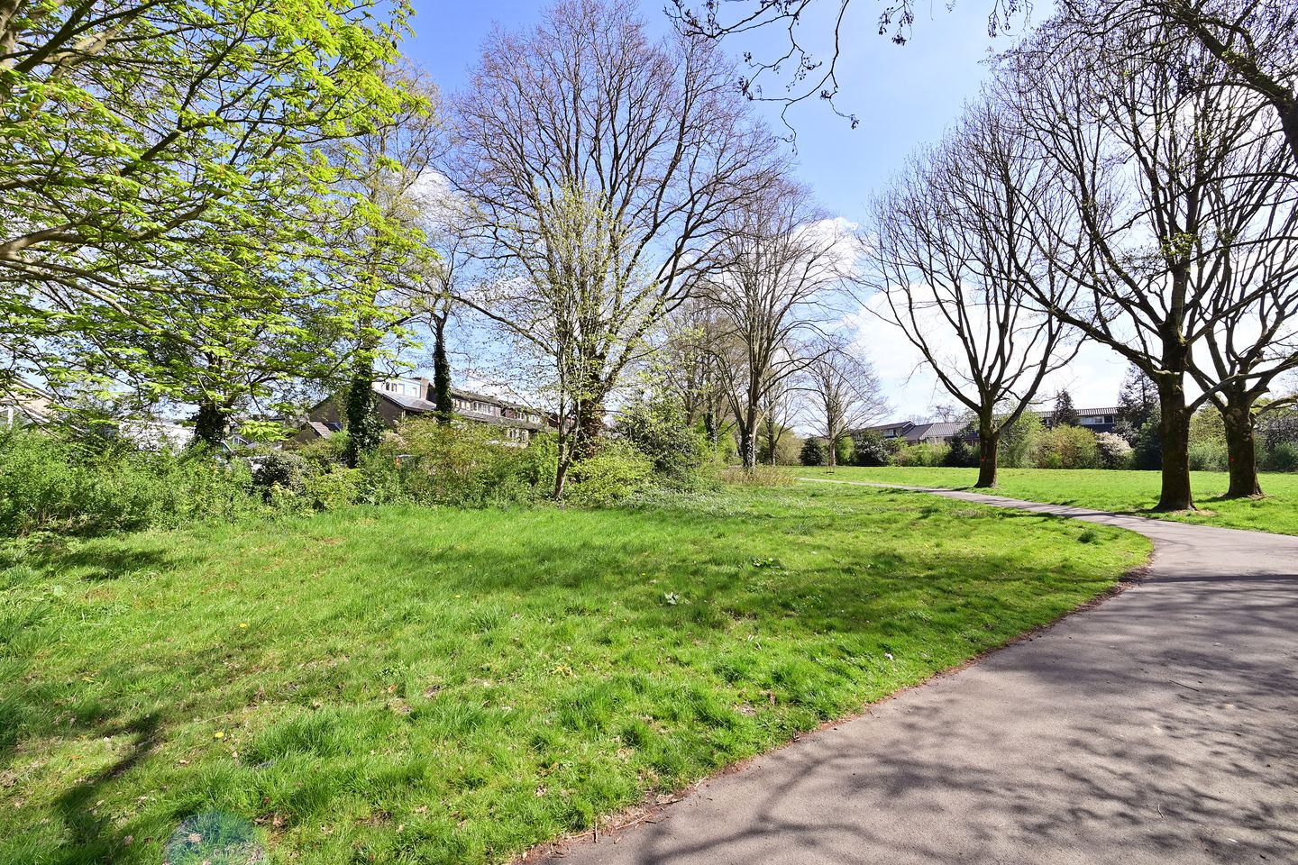 Photo 20 of Rietmeent 84