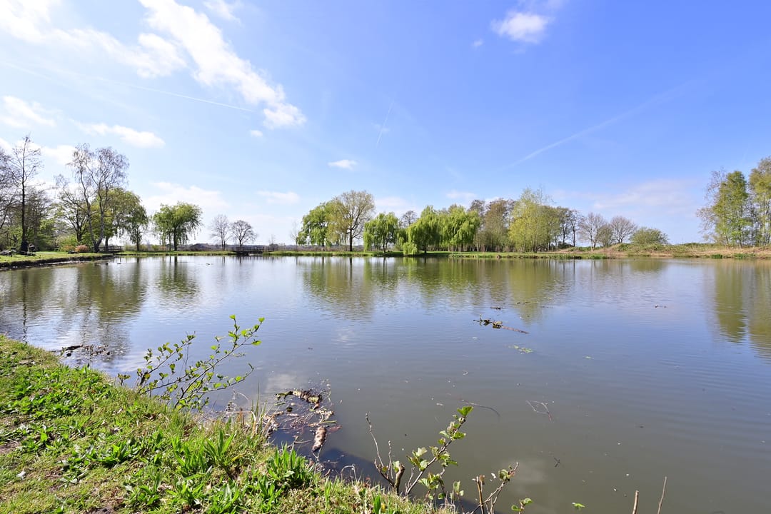 Photo 22 of Rietmeent 84