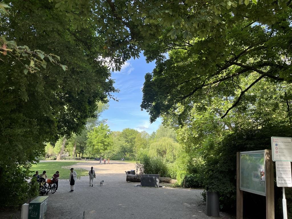 Foto 53 van Kuipersstraat 147-A13