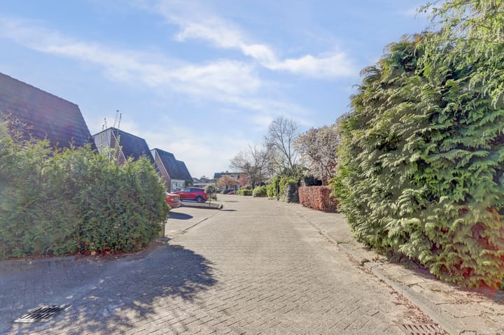 Photo 34 of Neptunushof 13