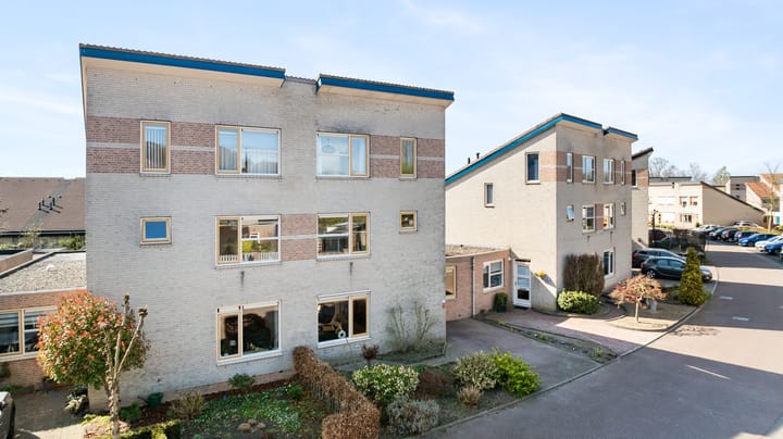 Foto 49 van Van Breugelplantsoen 58