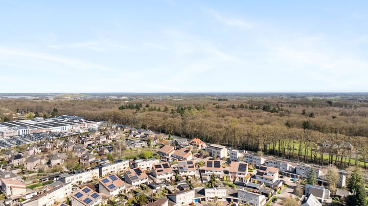 Foto 51 van Van Breugelplantsoen 58