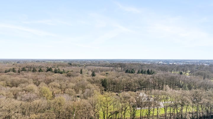 Foto 52 van Van Breugelplantsoen 58