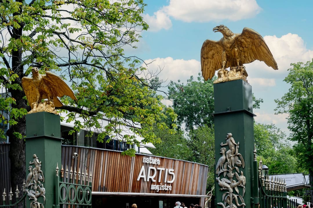 Foto 23 van Hoogte Kadijk 54-H