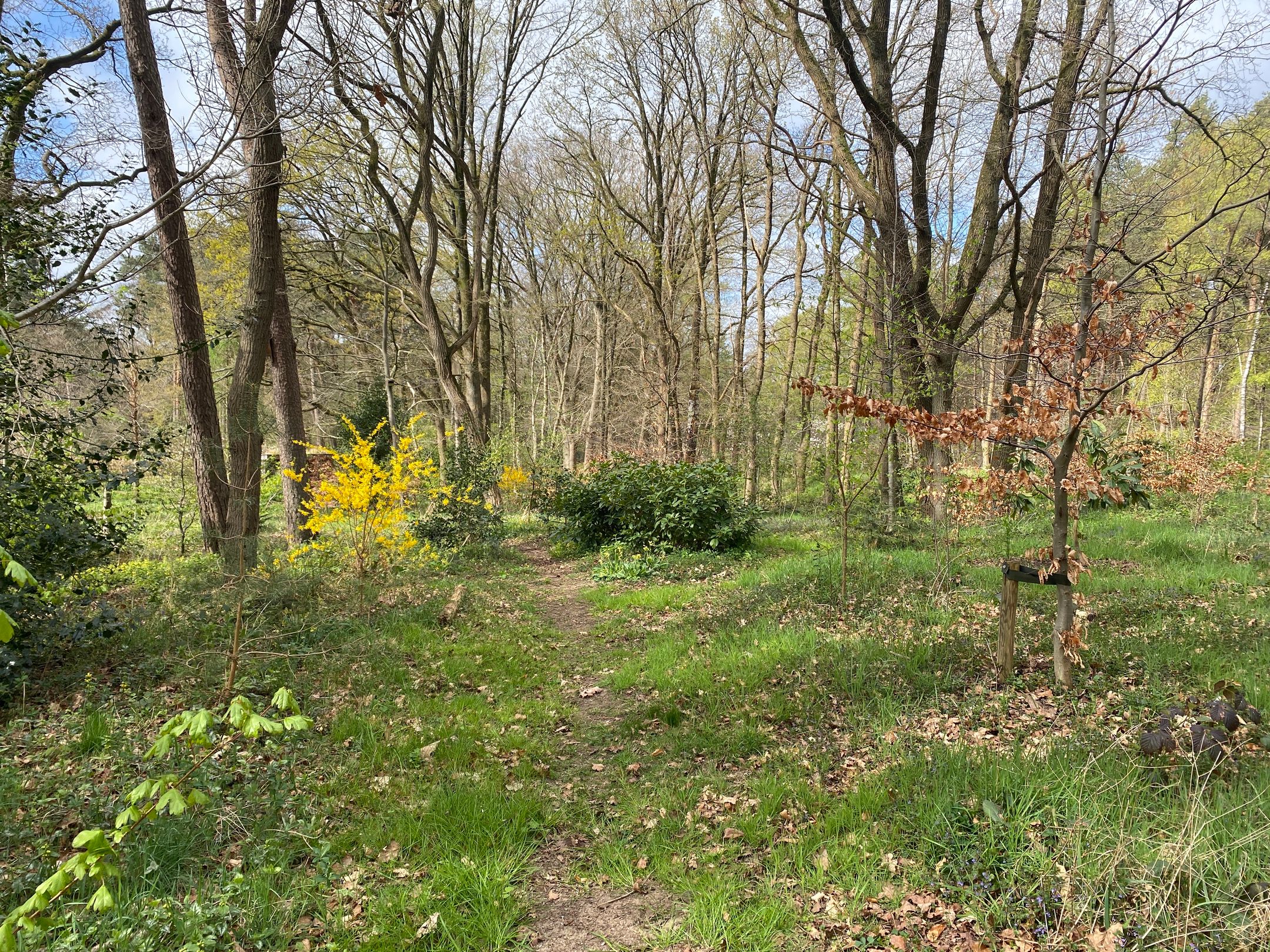 Foto 42 van Amersfoortsestraat 151