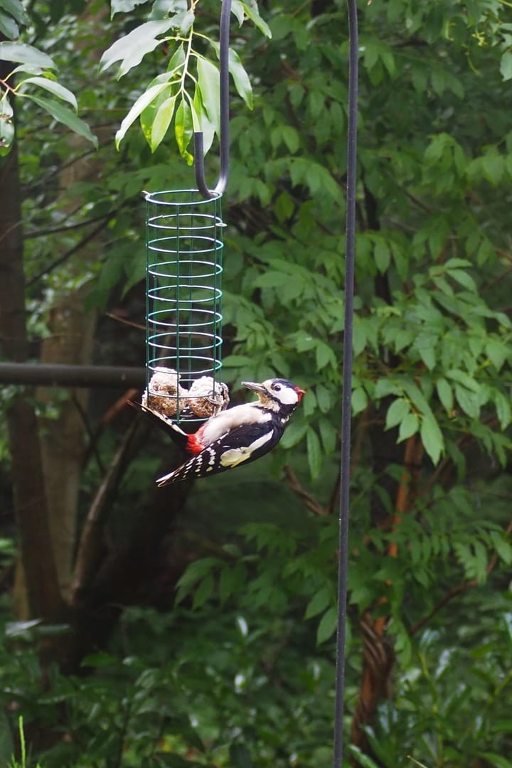 Foto 43 van Amersfoortsestraat 151