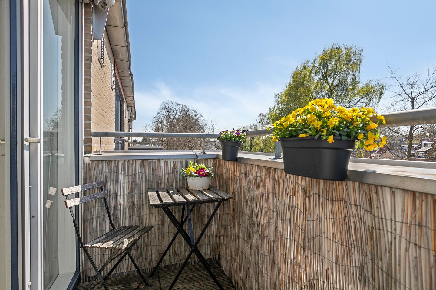 Foto 5 van Smidshof 38