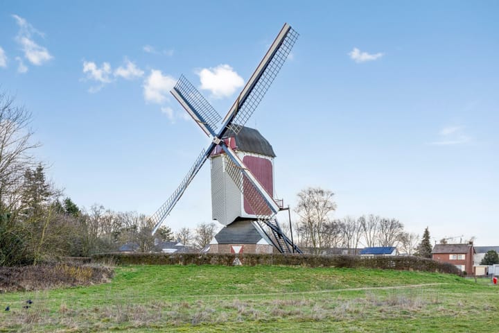 Foto 27 van Rechtestraat 39