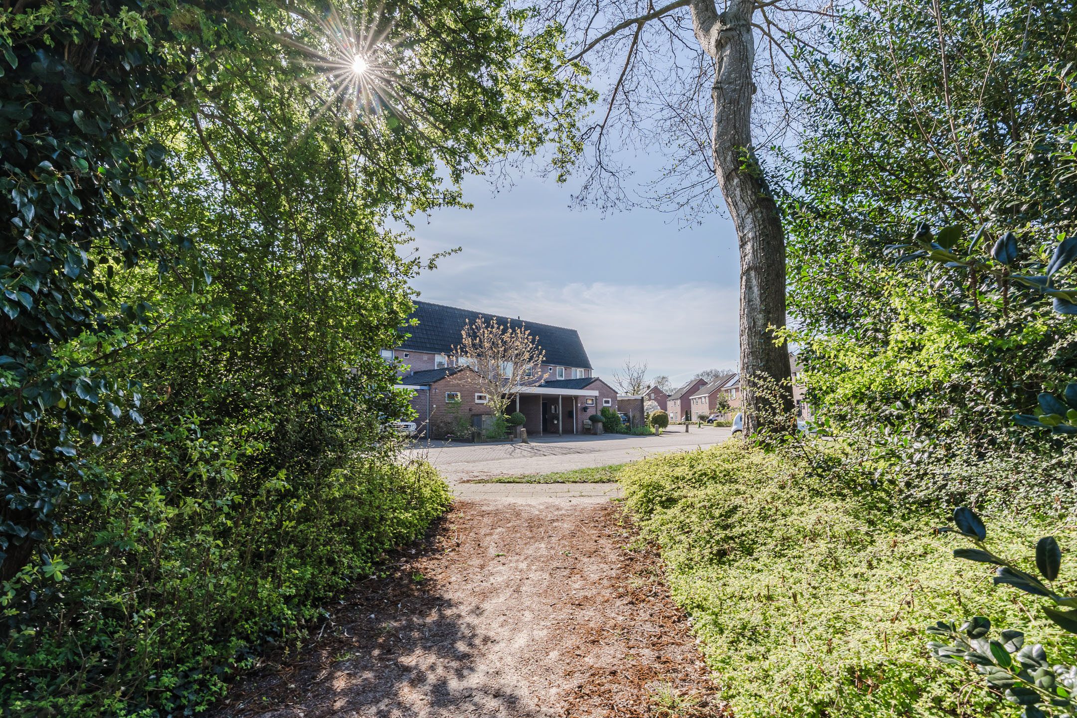 Foto 48 van Weegbree 55