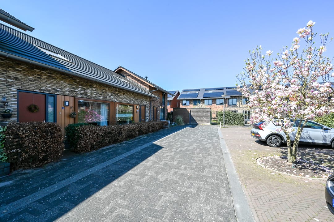 Foto 2 van Zwanebloem 66