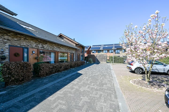 Foto 2 van Zwanebloem 66