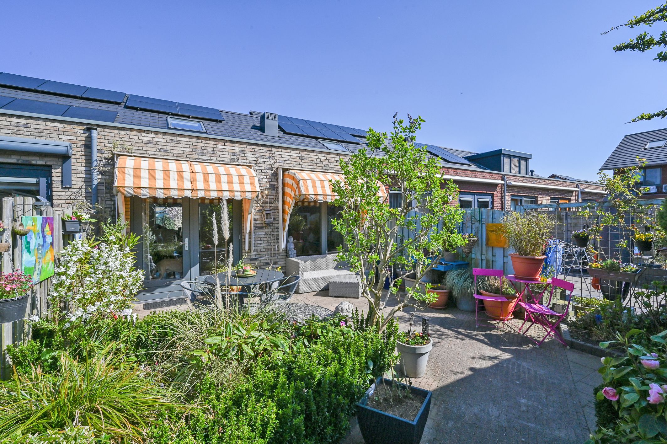 Foto 30 van Zwanebloem 66