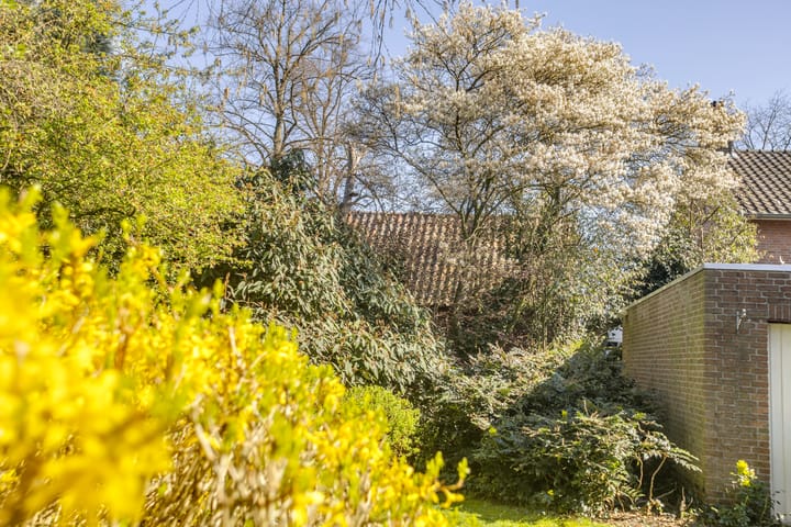 Foto 32 van Kloosterlaan 5