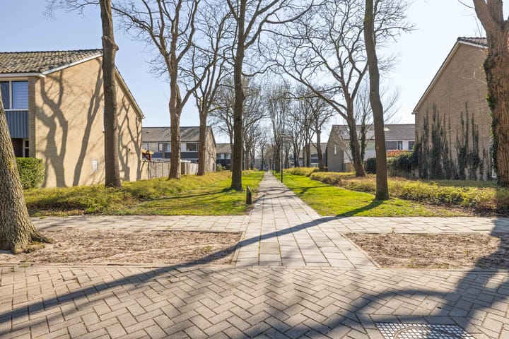 Foto 41 van Wagenaarstraat 25