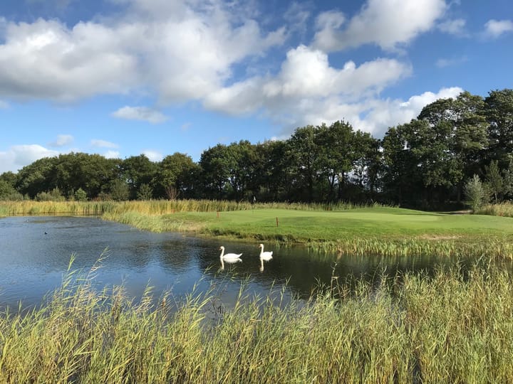 Photo 38 of Salesdreef 7-WN38