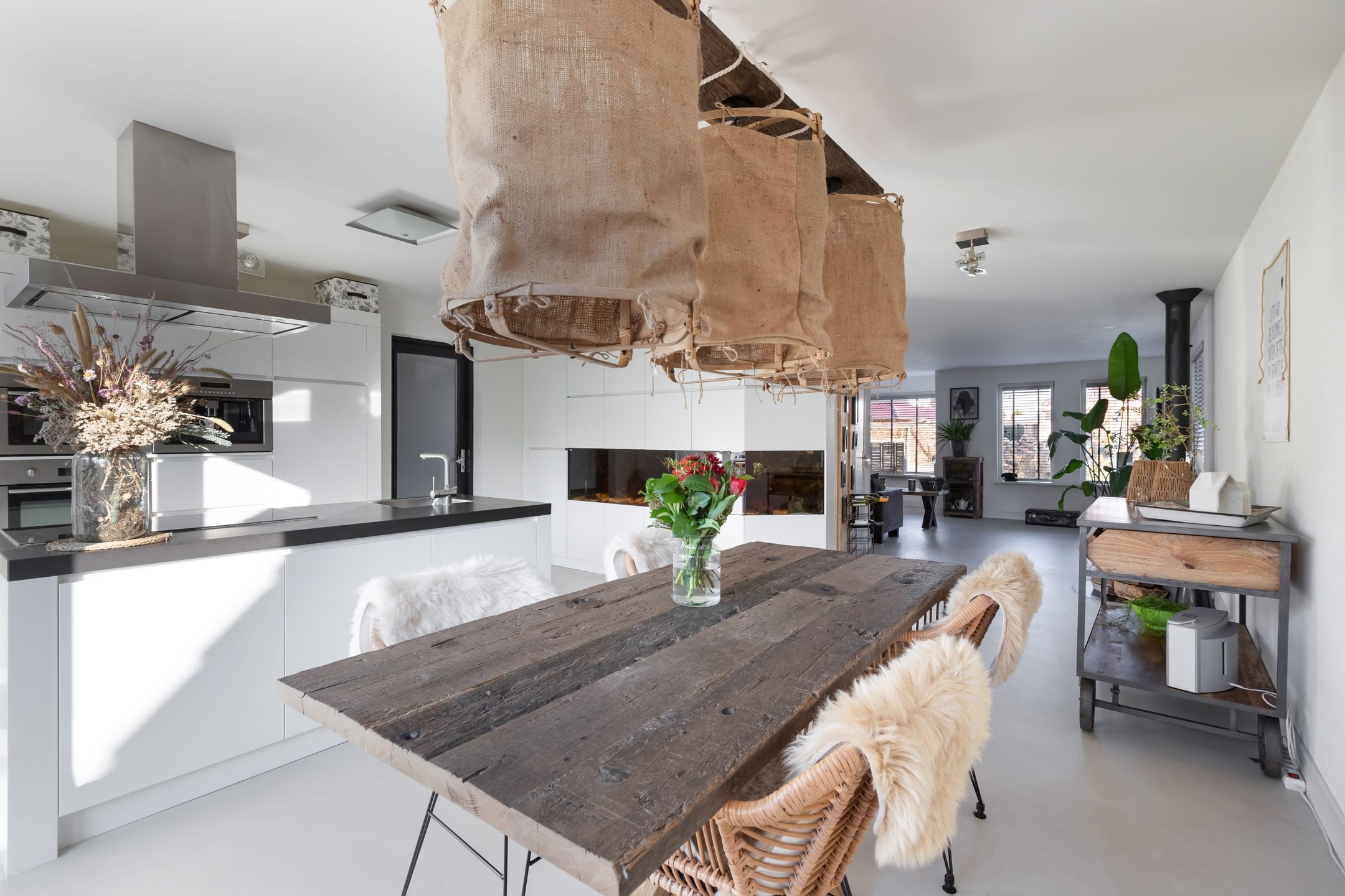 Foto 12 van Meerkoet 13